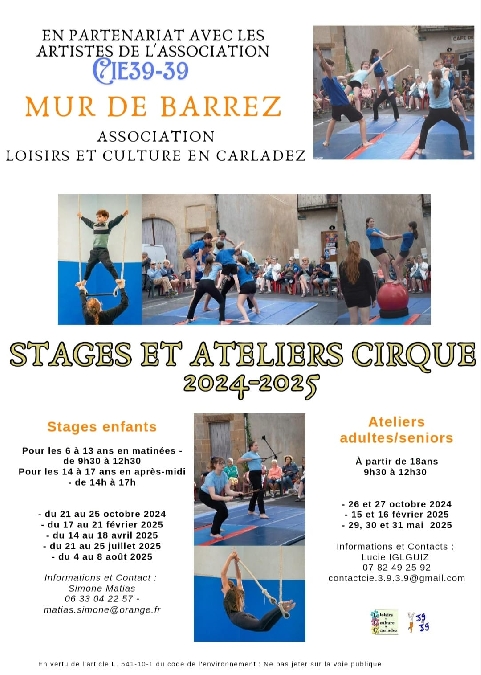 Stage de cirque adultes