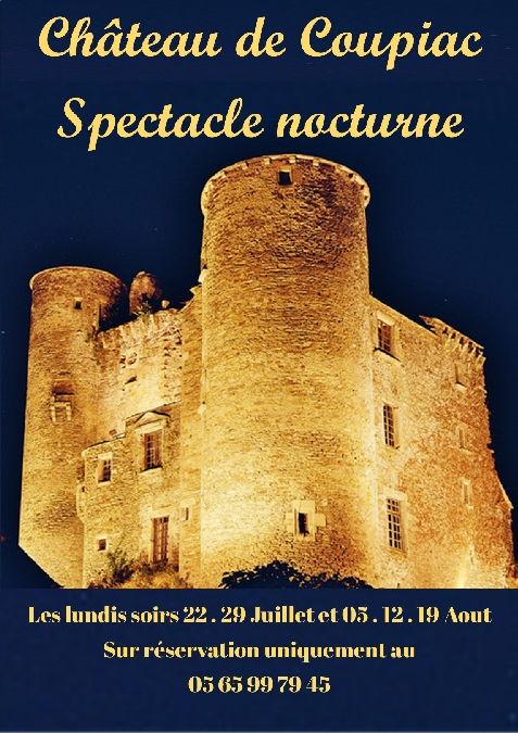 Spectacle Nocturne au Château : Le grand chambardement