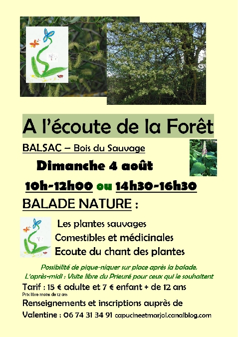 Balade botanique : À l'écoute de la forêt