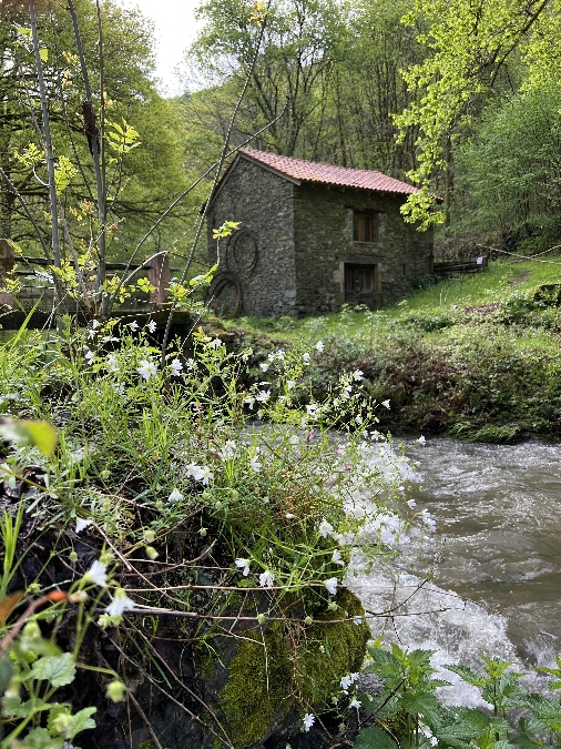 Domaine de la Bastidie - La cabane dans les bois