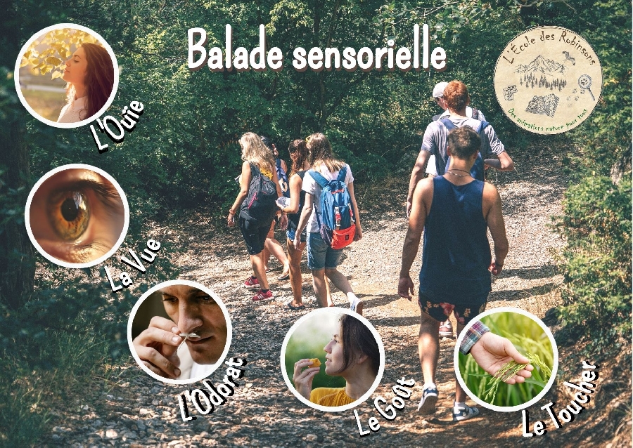 Balade sensorielle et naturaliste Le 26 sept 2024