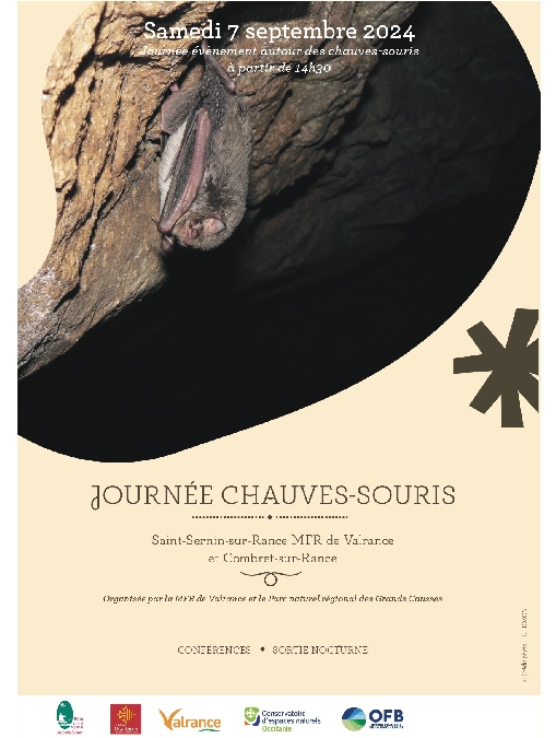 Journée évènement Chauve-Souris