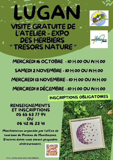 Visite gratuite de l'atelier expo des herbiers