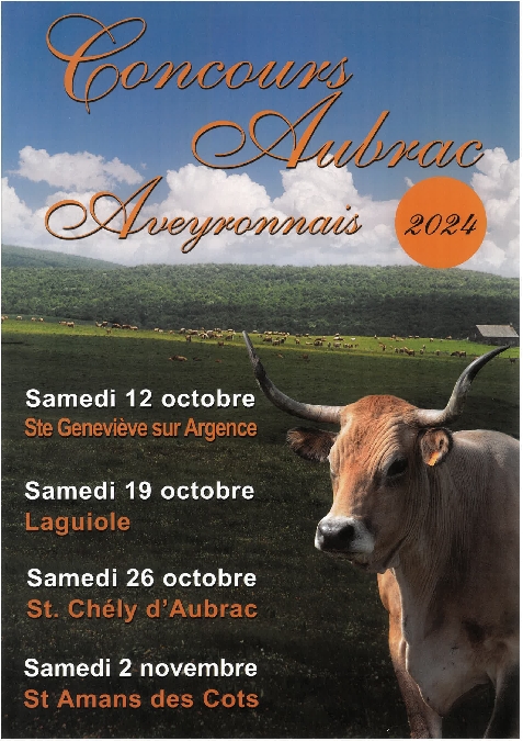 Concours de la race Aubrac