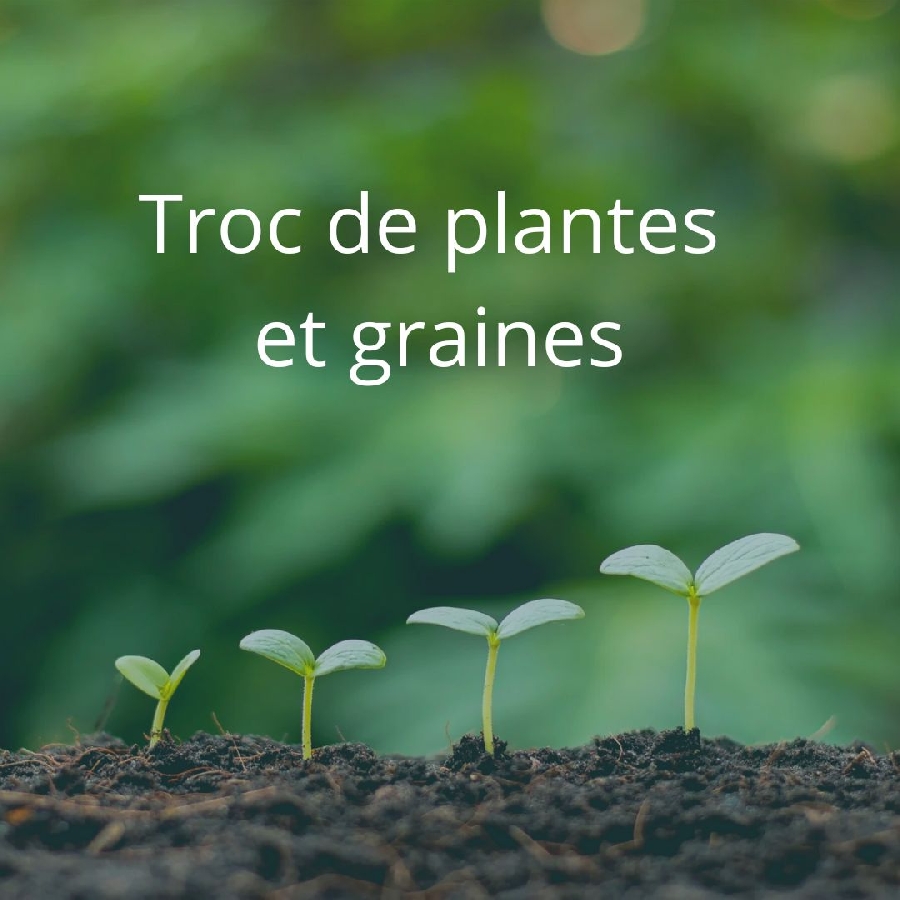 Troc de plantes et graines