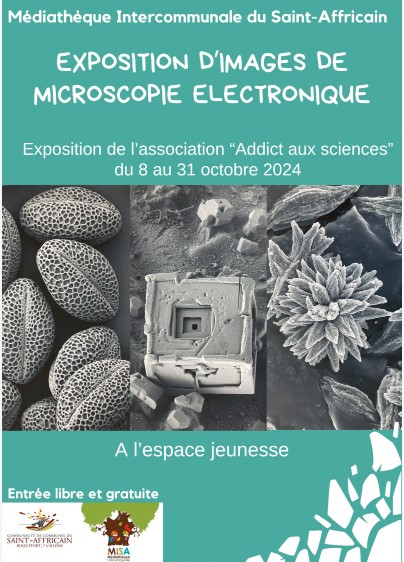 Exposition : Images de Microscopie Electronique